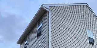 Best Custom Siding Design  in Hanamaulu, HI